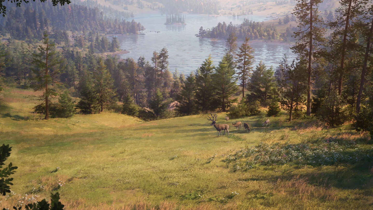Elk herd feeding in a meadow on New Laurentia