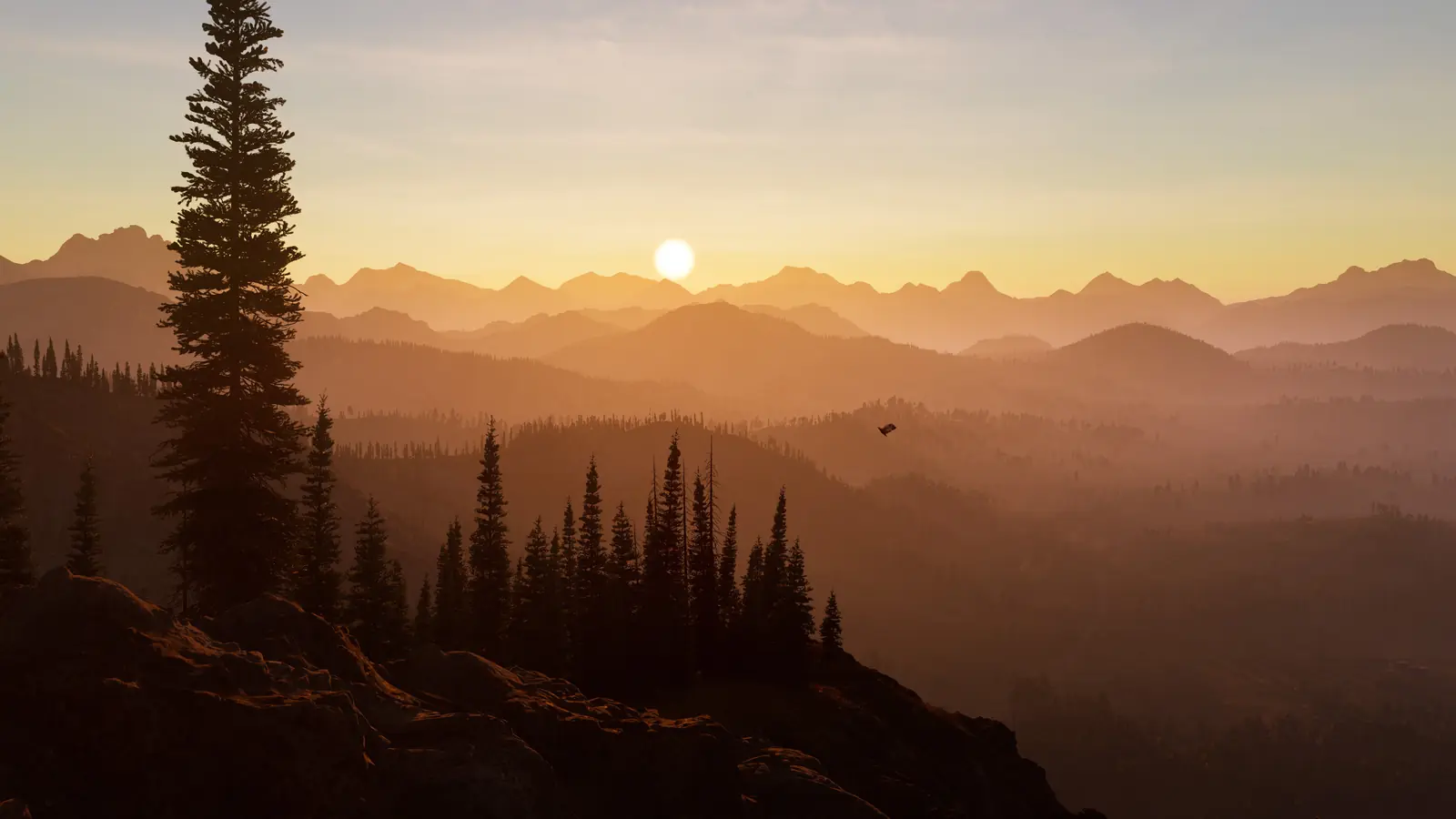 Layered Rocky Mountain ranges at sunrise behind a pine ridge